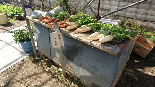 蛍池にあった新鮮野菜の無人販売所の画像