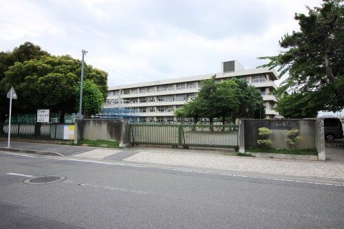 中居小学校の画像