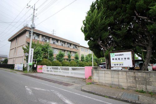 新高尾小学校の画像