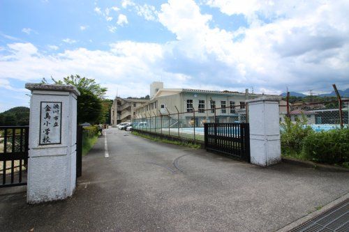 渋川市立金島小学校の画像