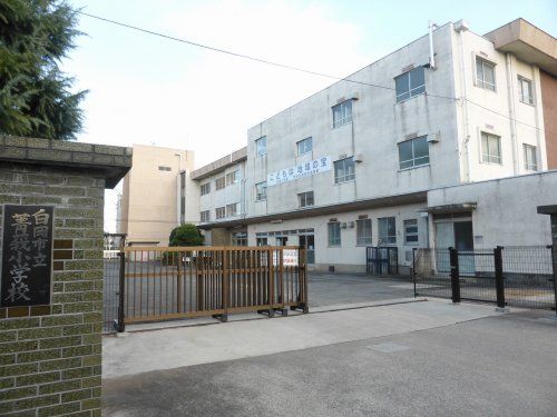 白岡市立菁莪小学校の画像