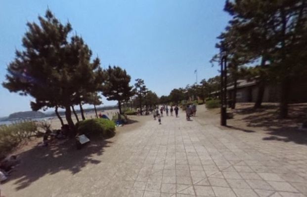 海の公園の画像