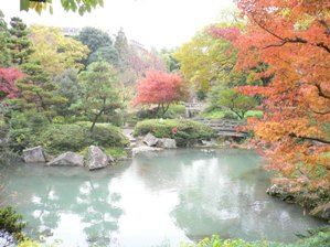 帷子川親水緑道 の画像