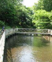 弘法池公園 の画像