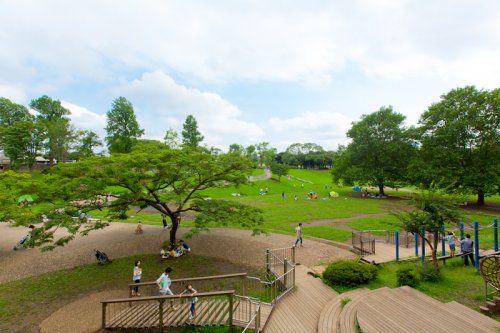 岸根公園の画像