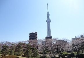 隅田公園の画像