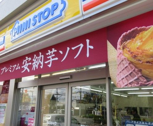 ミニストップ 東村山野口町店の画像