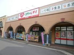 くすりのレデイ東広島店の画像