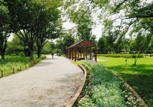 武蔵野中央公園の画像