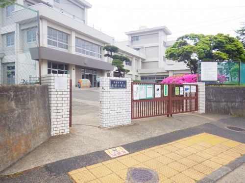 横須賀市立 森崎小学校の画像