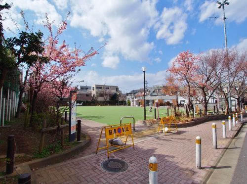 本町さくら公園の画像