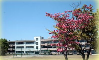 白岡市立篠津中学校の画像