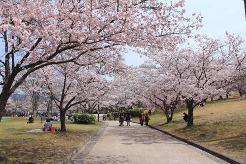 鏡山公園の画像