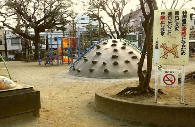 駒込公園の画像