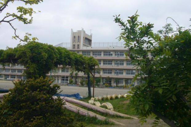 市川市立 曽谷小学校の画像