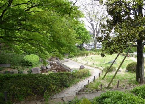 区立関口台公園の画像