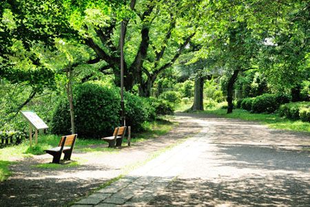 善福寺公園の画像