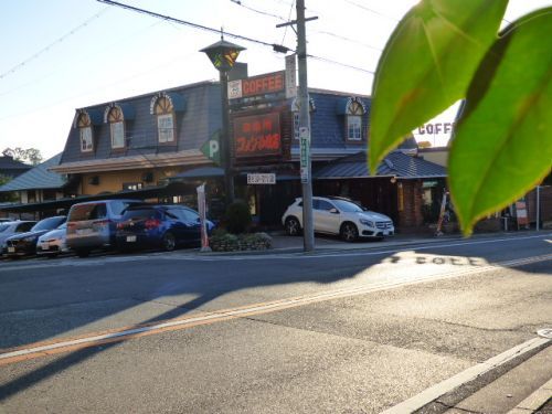 コメダ珈琲店 本店の画像