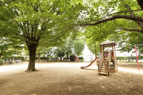 松の木公園の画像