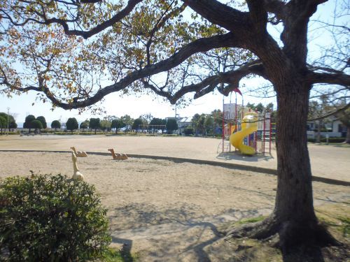 朝霧公園の画像