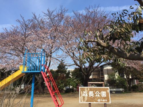 森長公園の画像