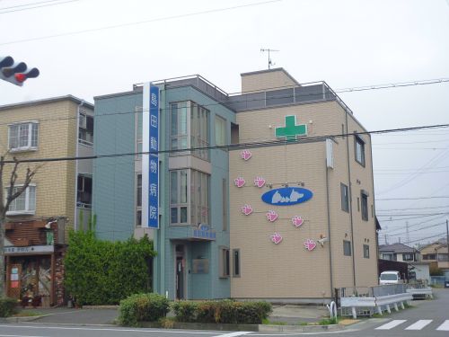 島田動物病院の画像