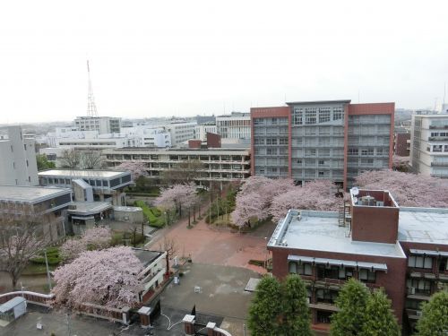 日本大学生産工学部の画像