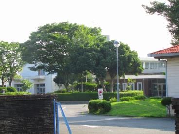 神奈川県立瀬谷養護学校の画像