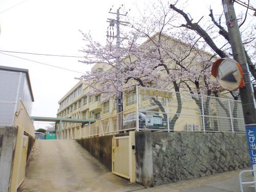 神戸市立神陵台小学校の画像