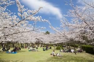 鳥屋野潟の画像