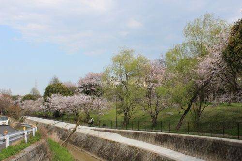 御呂戸川緑地の画像