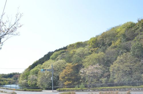 瀬板の森公園南口の画像