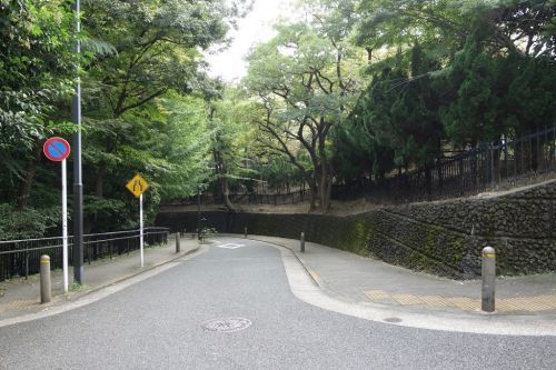 大井公園の画像