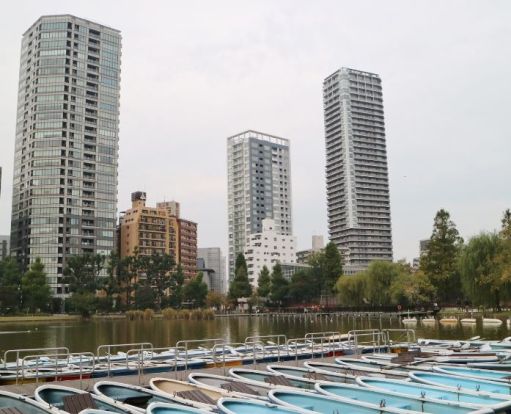 上野公園ボート場の画像