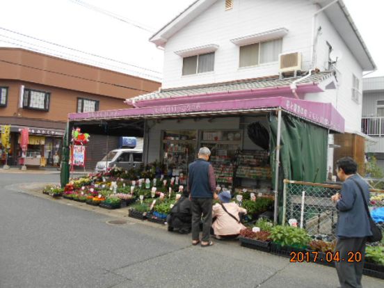 花と園芸の店 こにしの画像