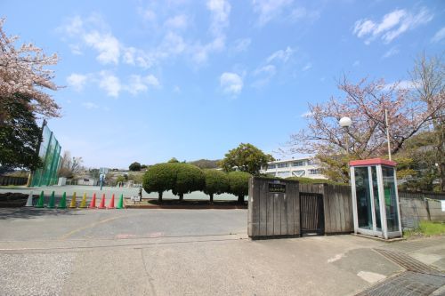 津久井浜小学校の画像