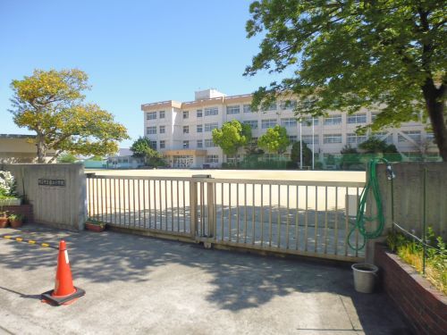 明石市立 藤江小学校の画像