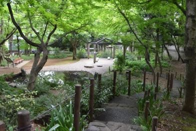 下落合野鳥の森公園の画像