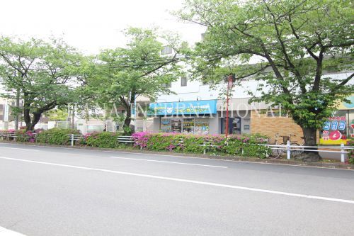 白クマコインランドリー浦安堀江店の画像