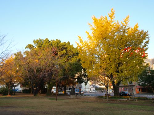 栄町児童公園の画像