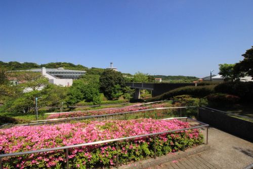 湘南国際村西公園①の画像