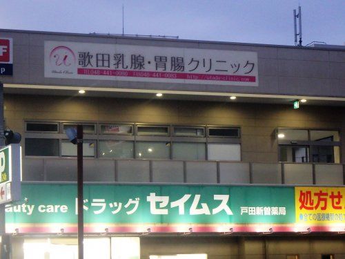 ドラッグセイムス 戸田新曽店の画像