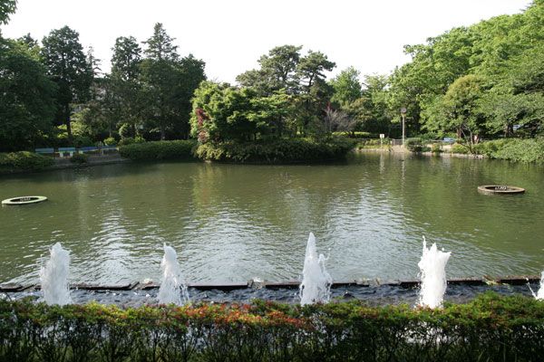 妙正寺公園の画像