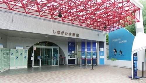 しながわ水族館の画像