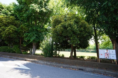 千葉市 一本松公園の画像