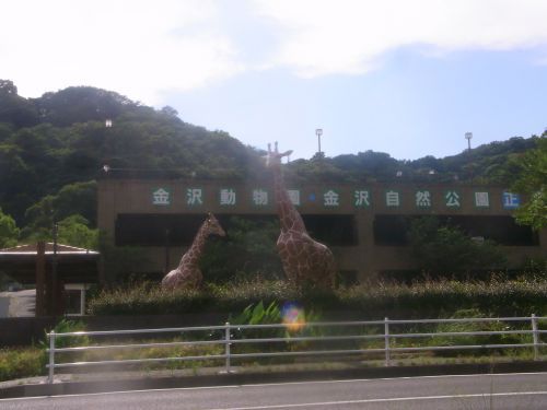 横浜市立金沢動物園の画像