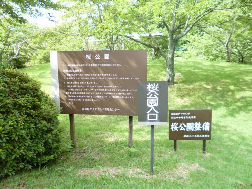 桜公園の画像
