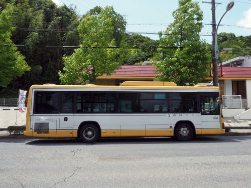 奥畑口（バス）の画像