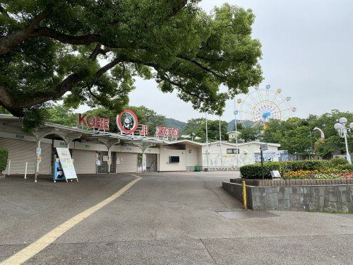 神戸市立王子動物園の画像