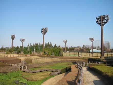 阿見町総合運動公園の画像